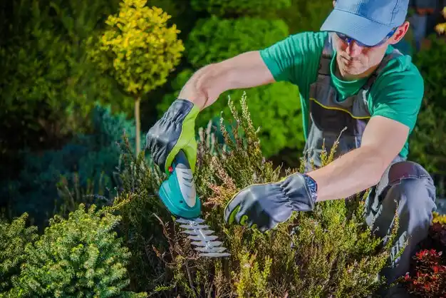 landscaping services Rossford